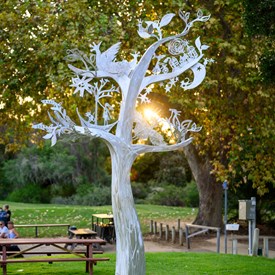 Tree of Wonder