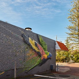 Parrot in Flight